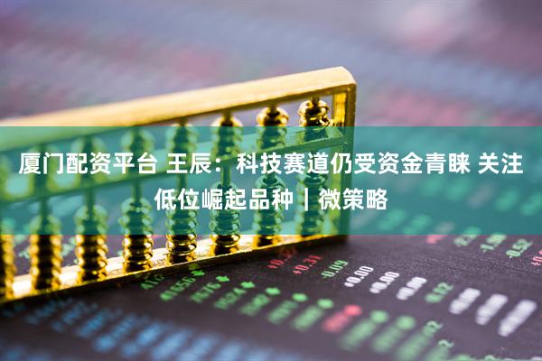 厦门配资平台 王辰：科技赛道仍受资金青睐 关注低位崛起品种｜微策略