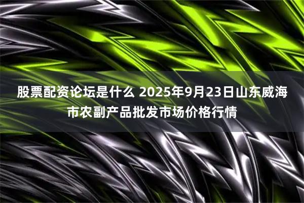 股票配资论坛是什么 2025年9月23日山东威海市农副产品批发市场价格行情